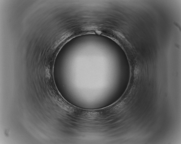 X0000103131209200808221146