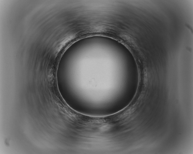 X0000103131210200808221146