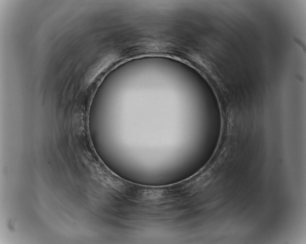 X0000103131211200808221146
