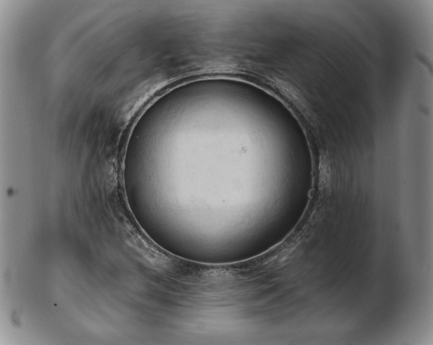 X0000103131212200808221146