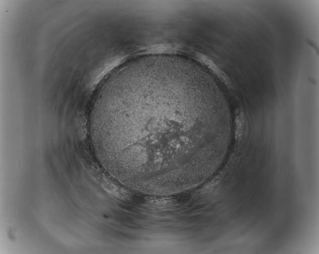 X0000103131213200808221146