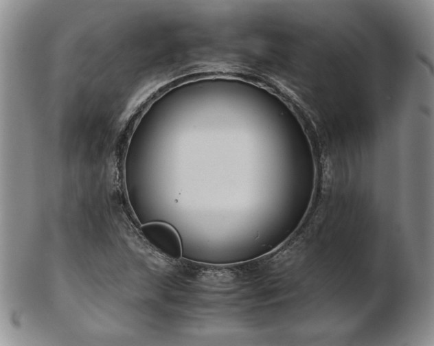 X0000103131215200808221146