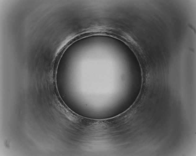 X0000103131216200808221146