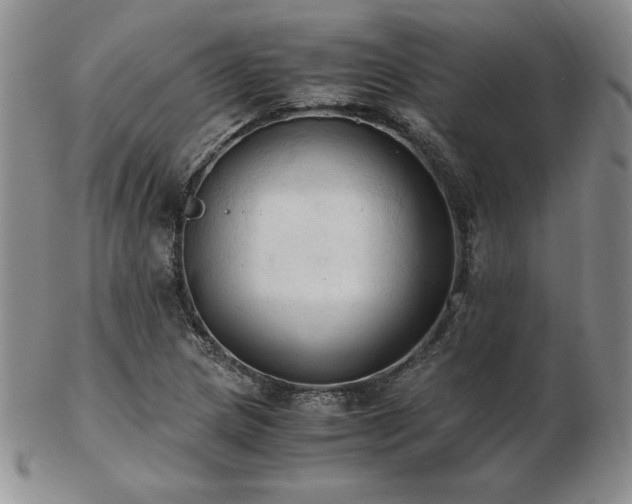 X0000103131217200808221146