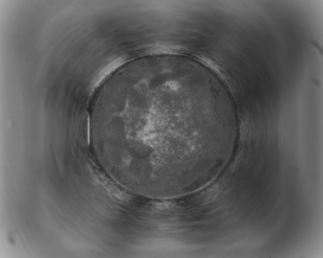 X0000103131219200808221146