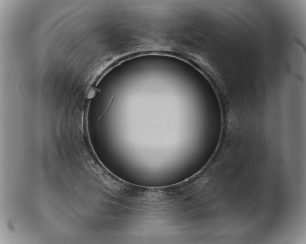 X0000103131220200808221146