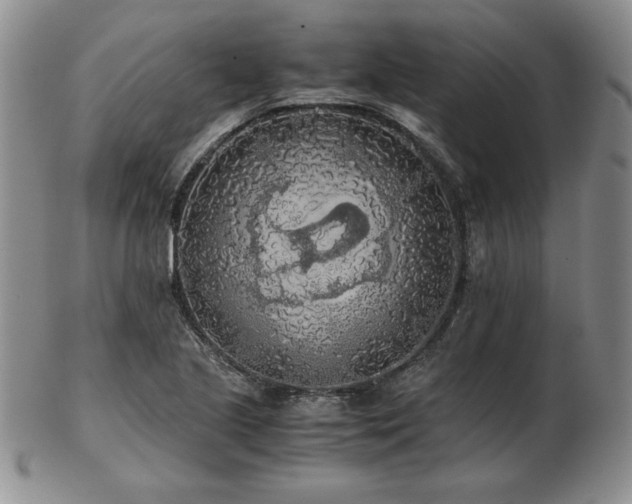 X0000103131221200808221146