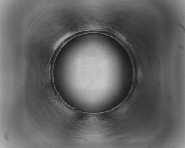 X0000103131222200808221146