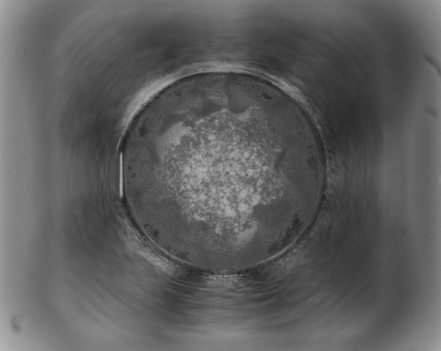 X0000103131223200808221146