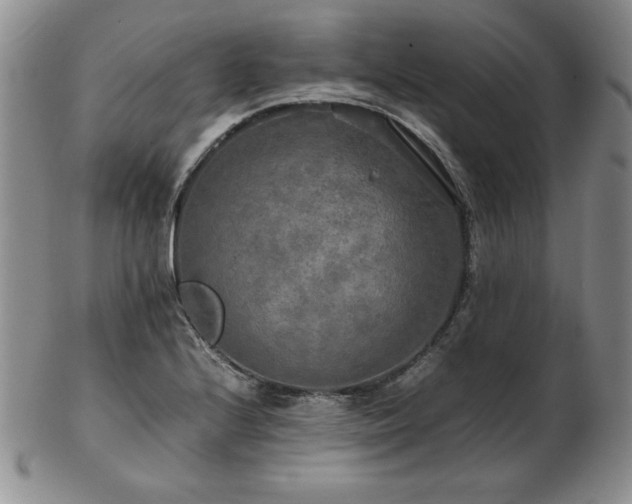 X0000103131224200808221146