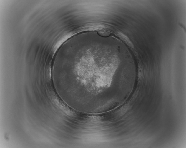 X0000103131226200808221146