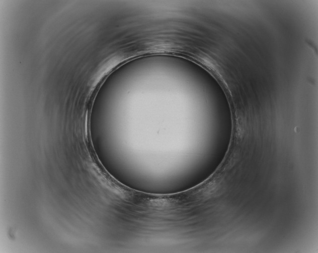 X0000103131227200808221146