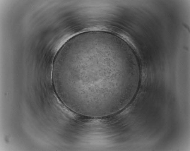 X0000103131228200808221146