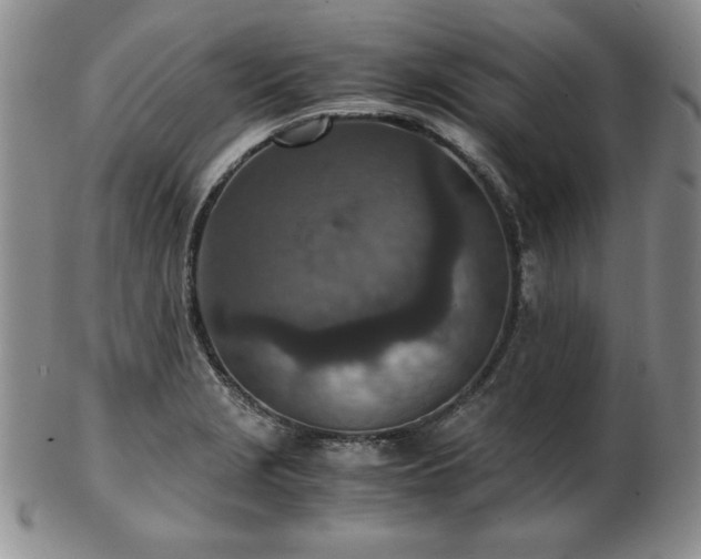 X0000103131229200808221146