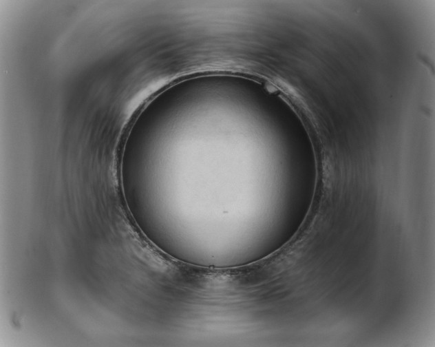 X0000103131230200808221146