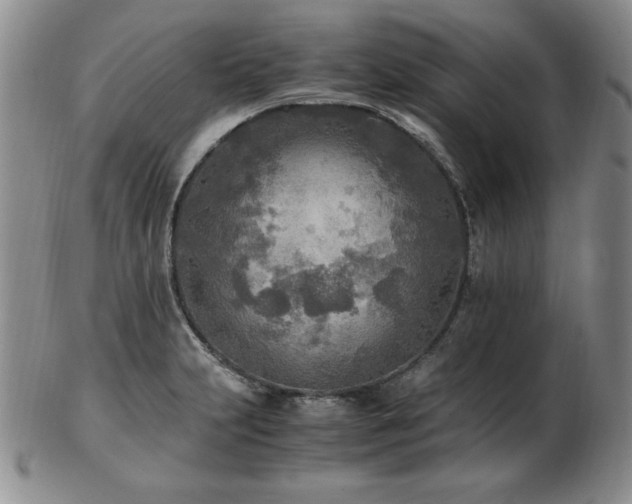 X0000103131231200808221146