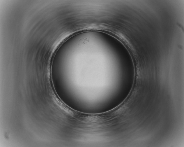 X0000103131232200808221146