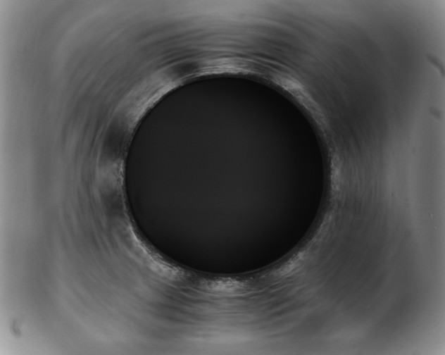 X0000103131233200808221146
