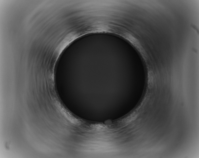 X0000103131234200808221146