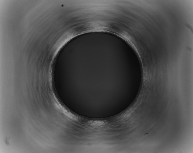 X0000103131235200808221146