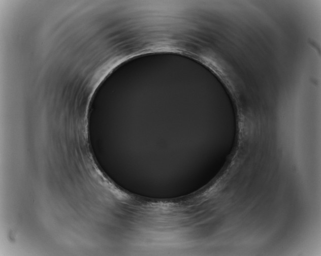 X0000103131236200808221146