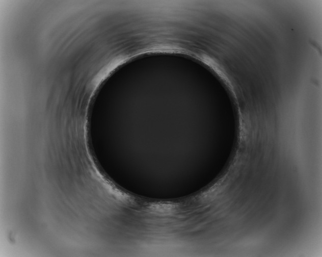 X0000103131237200808221146