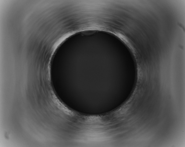 X0000103131238200808221146