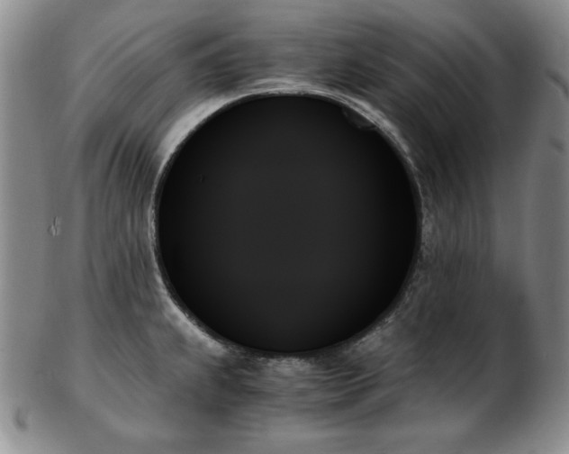 X0000103131239200808221146
