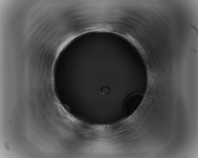 X0000103131240200808221146