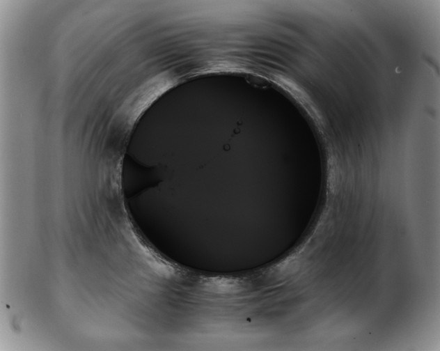 X0000103131241200808221146