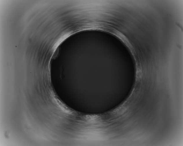 X0000103131242200808221146