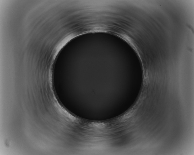 X0000103131243200808221146