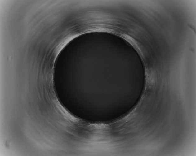 X0000103131244200808221146