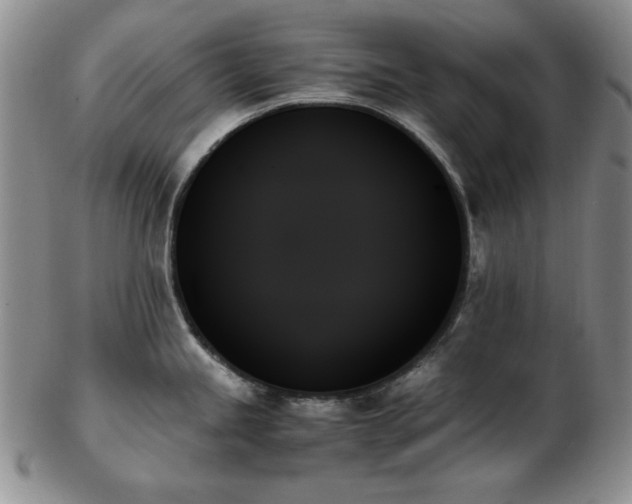 X0000103131245200808221146