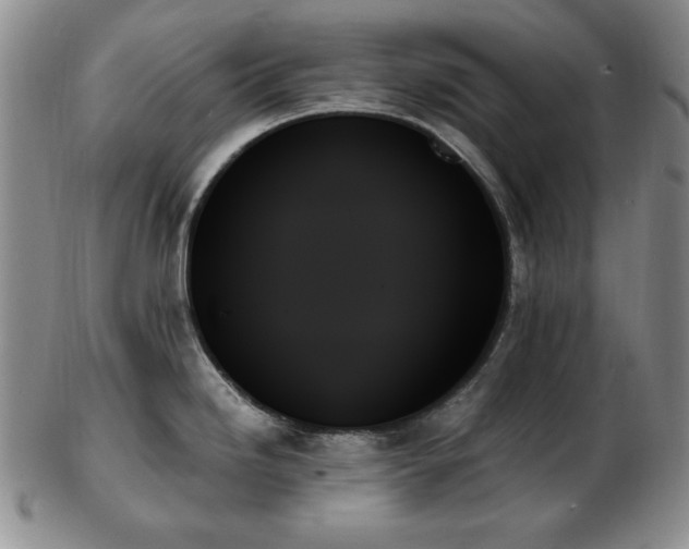 X0000103131246200808221146
