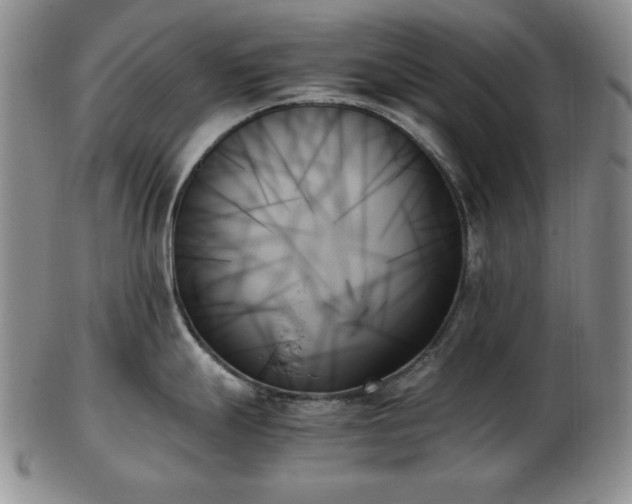 X0000103131247200808221146
