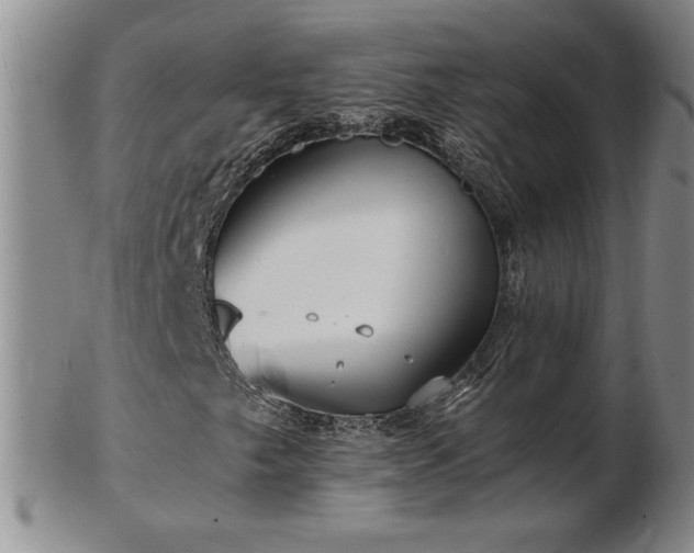 X0000103131249200808221146
