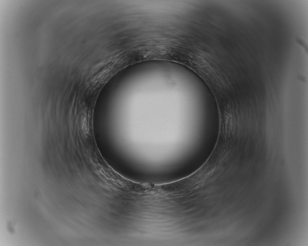 X0000103131250200808221146
