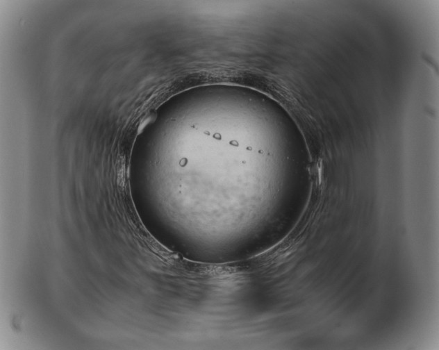 X0000103131251200808221146