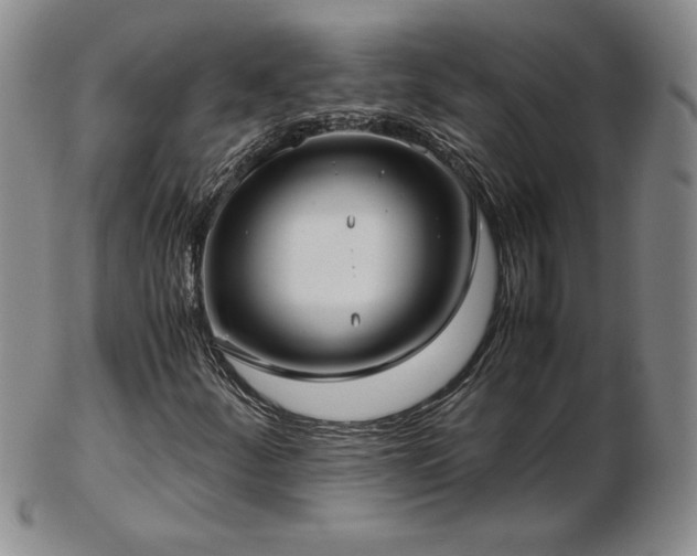 X0000103131252200808221146