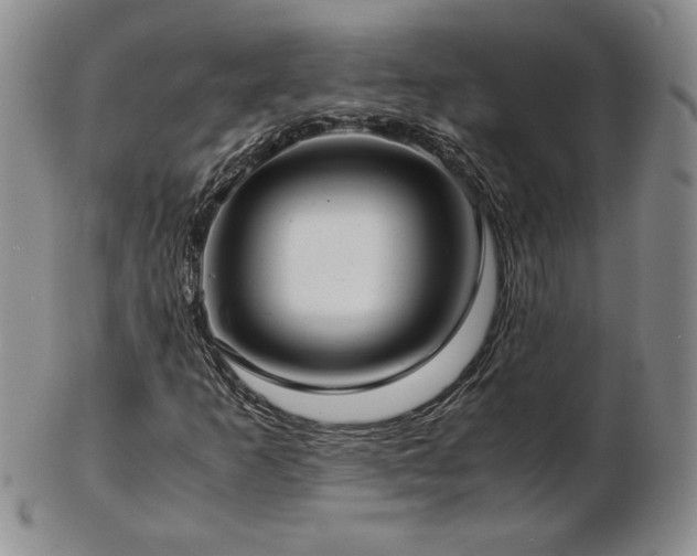 X0000103131253200808221146