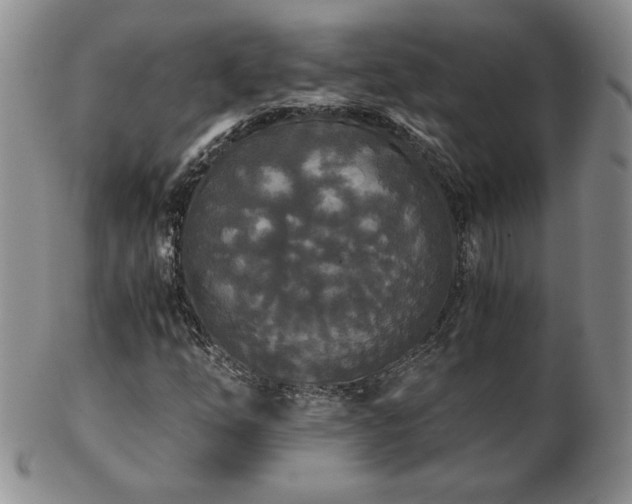 X0000103131254200808221146