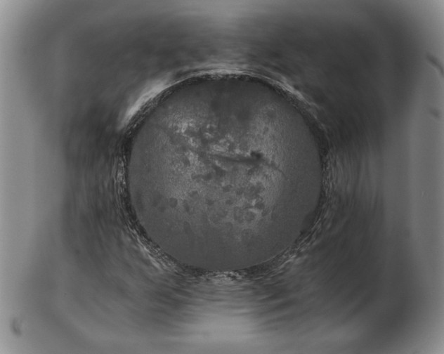 X0000103131255200808221146