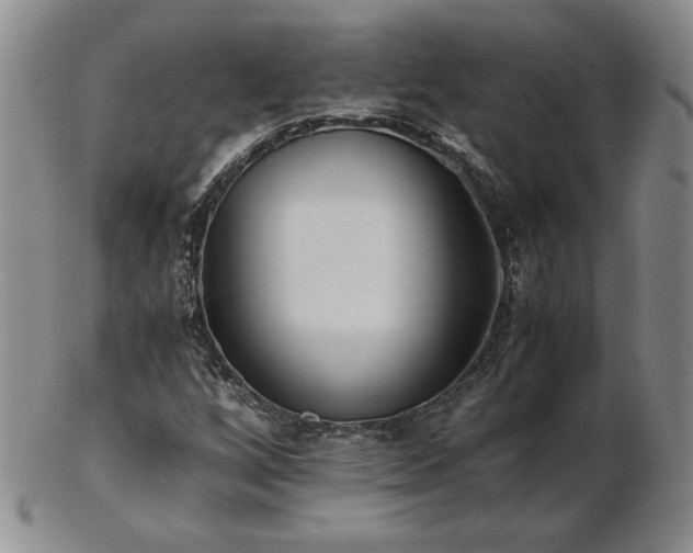X0000103131256200808221146