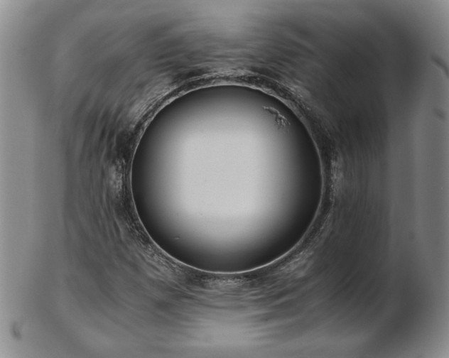 X0000103131257200808221146