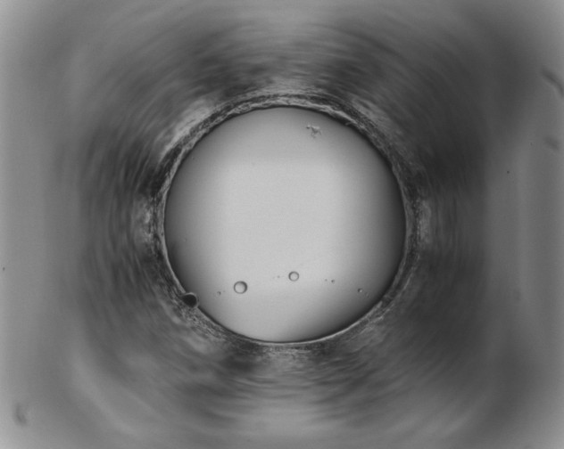 X0000103131258200808221146