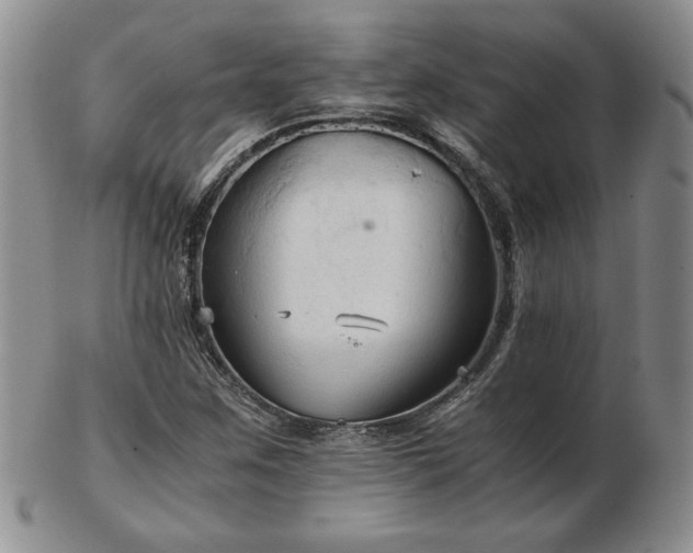 X0000103131259200808221146