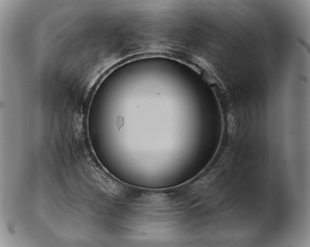 X0000103131260200808221146