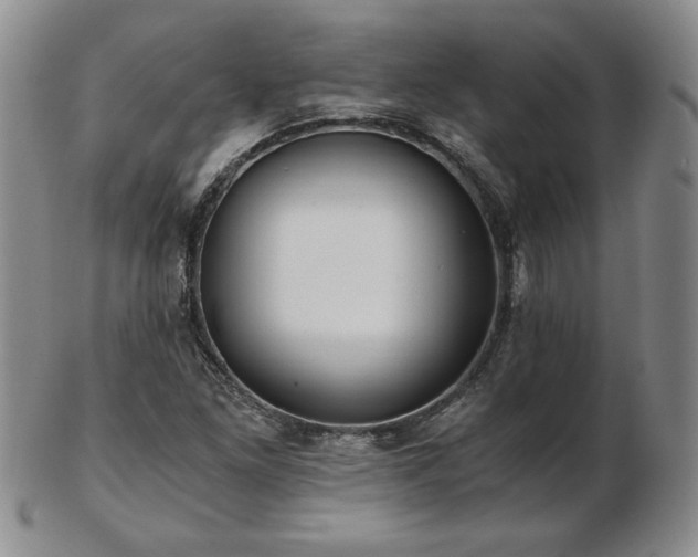 X0000103131261200808221146