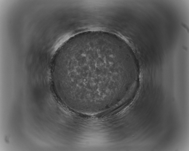 X0000103131263200808221146